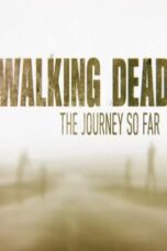 The Walking Dead: The Journey So Far (2016)