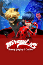 Miraculous: Tales of Ladybug & Cat Noir (2017)