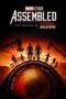 3dQyDFxTY6o3v67ncYCExog6aPH Marvel Studios Assembled: The Making of Deadpool & Wolverine (2024)
