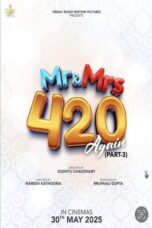 Mr & Mrs 420 Again (2025)