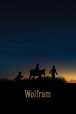Wolfram (2026)